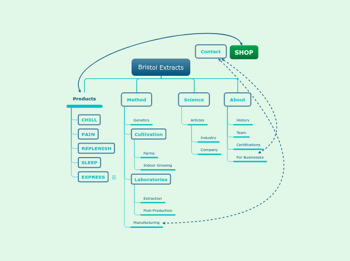 Bristol Extracts Mind Map